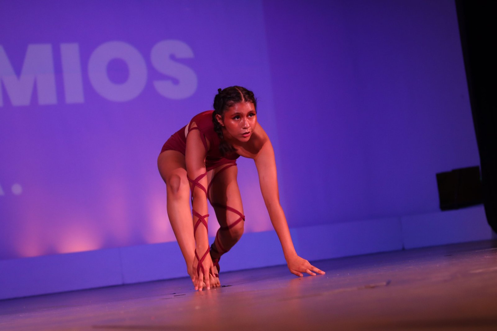 dia internacional de la danza