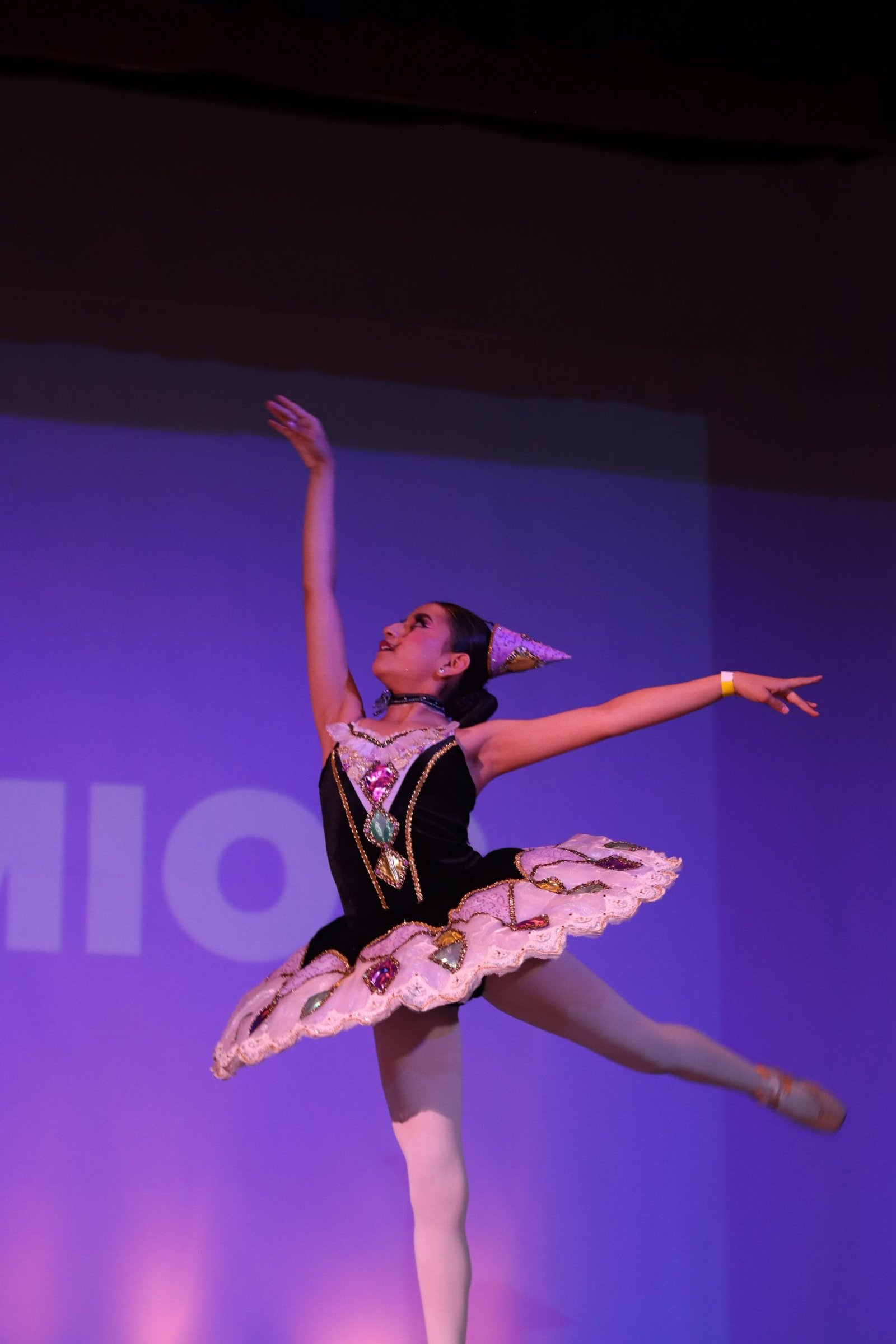 dia de la danza 2026